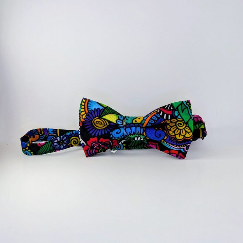 Multi-Color Paisley - Bow Tie